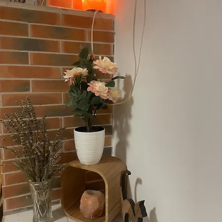 Le Cocon - Calme Et Ressourcement * ロウファッハ